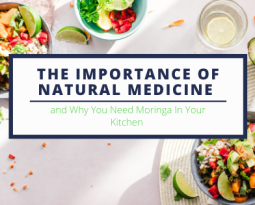 The Importance of Natural Medicine and Why You Need Moringa In Your Kitchen